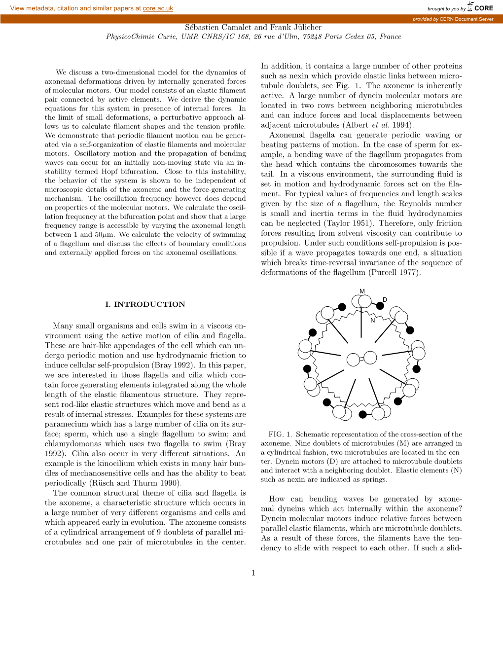 Physical Aspects of Axonemal Beating and Swimming