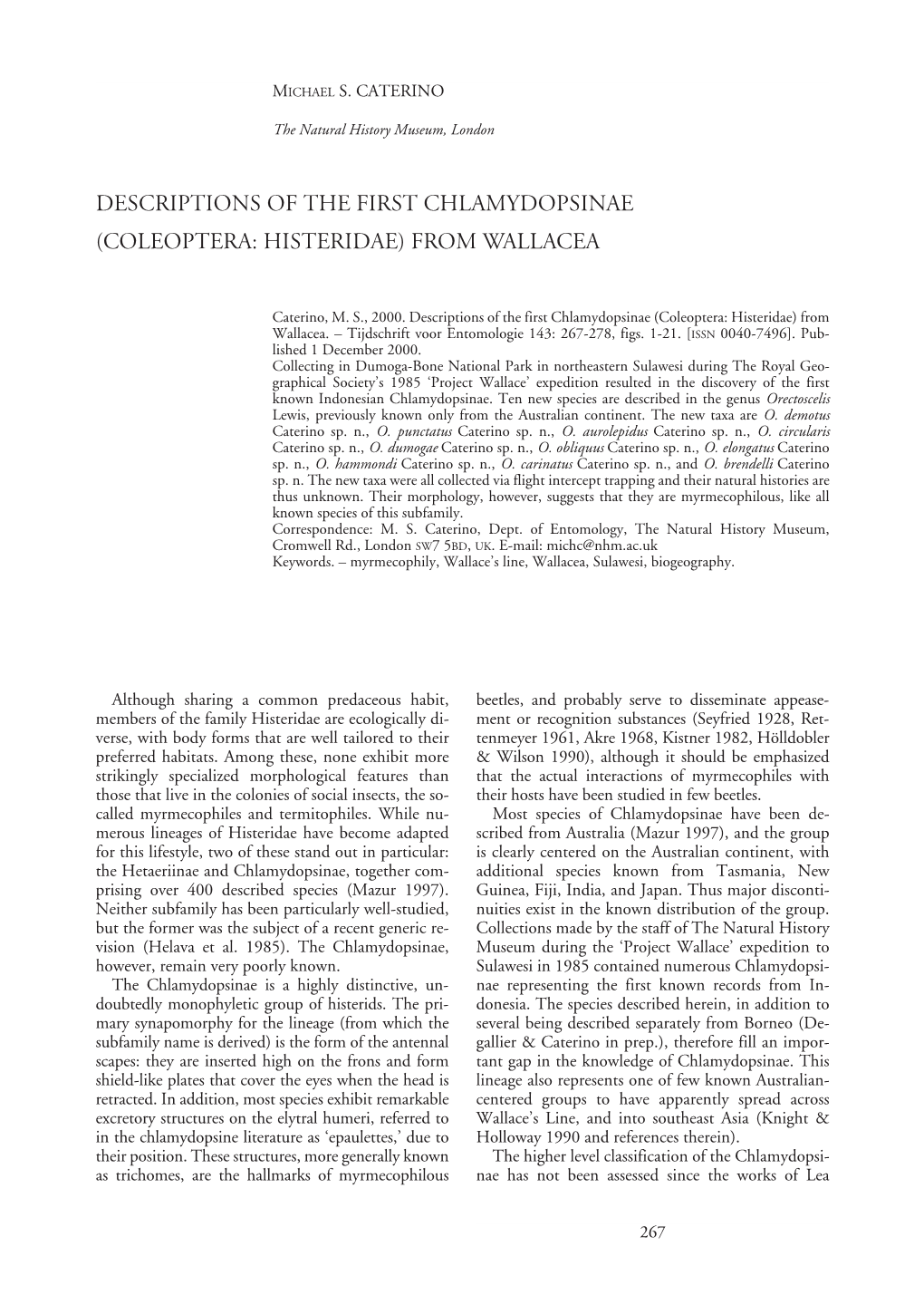 Descriptions of the First Chlamydopsinae (Coleoptera: Histeridae) from Wallacea