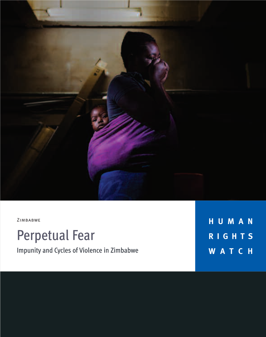 Perpetual Fear RIGHTS Impunity and Cycles of Violence in Zimbabwe WATCH