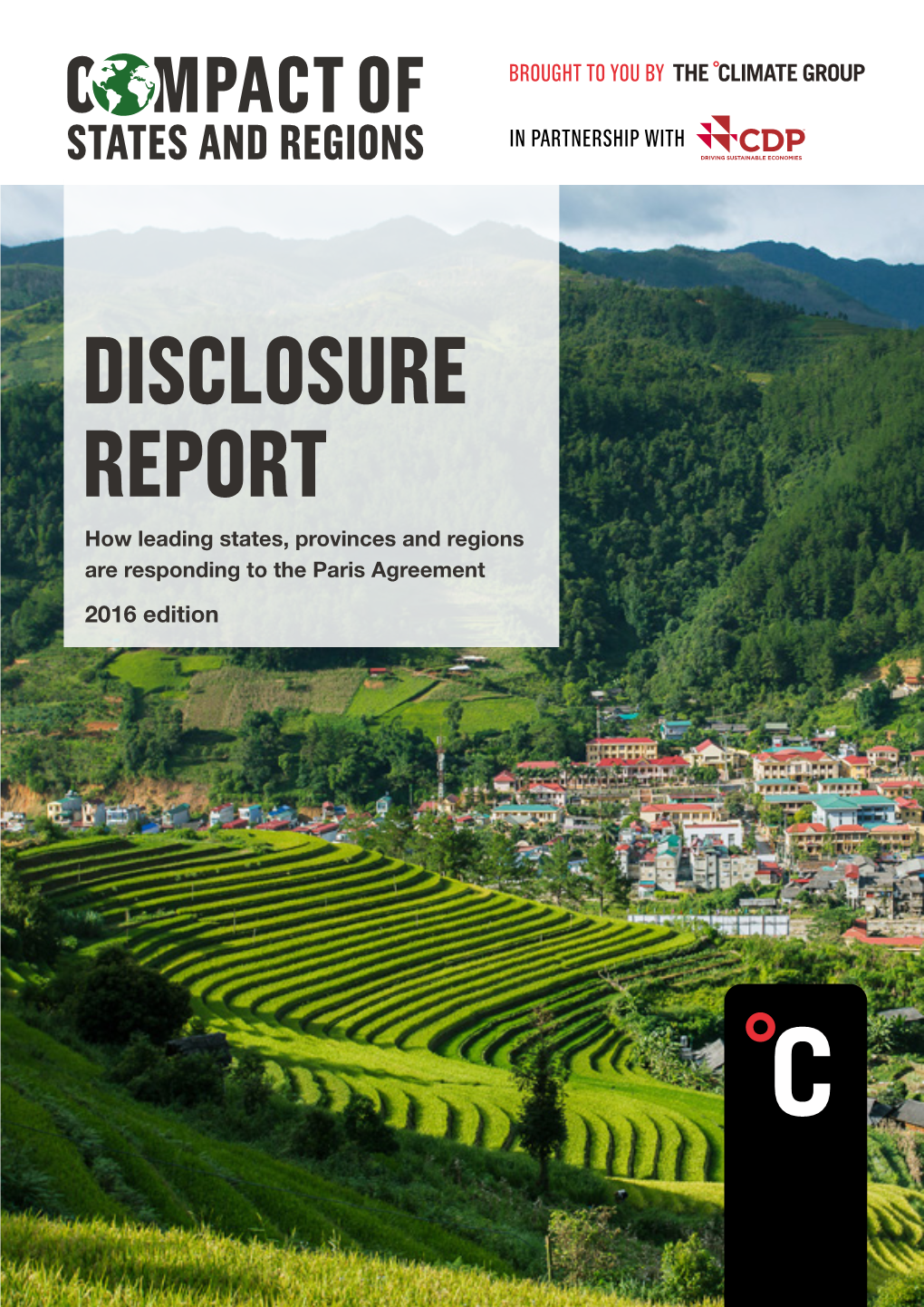 Disclosure Report