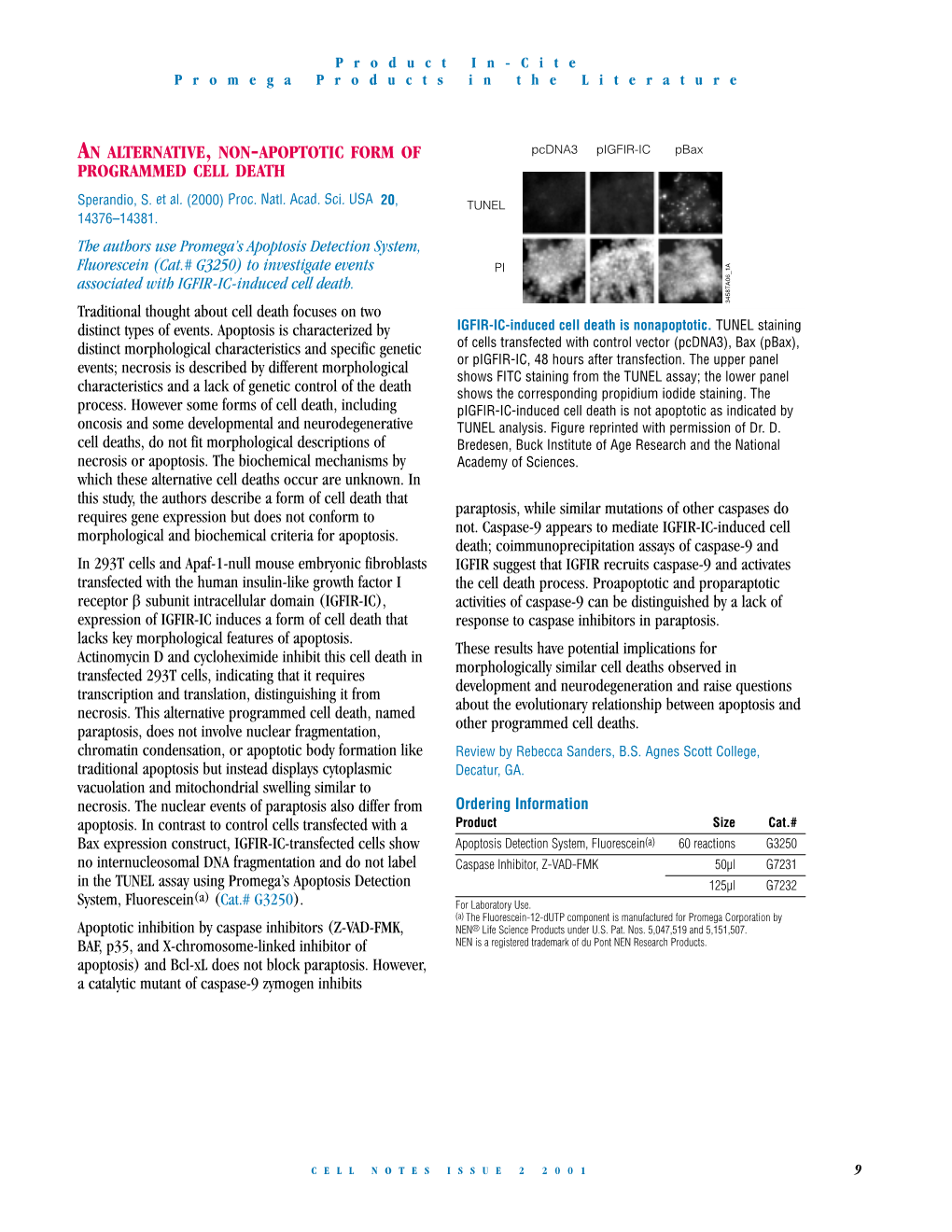 An Alternative, Non-Apoptotic Form of Programmed Cell Death