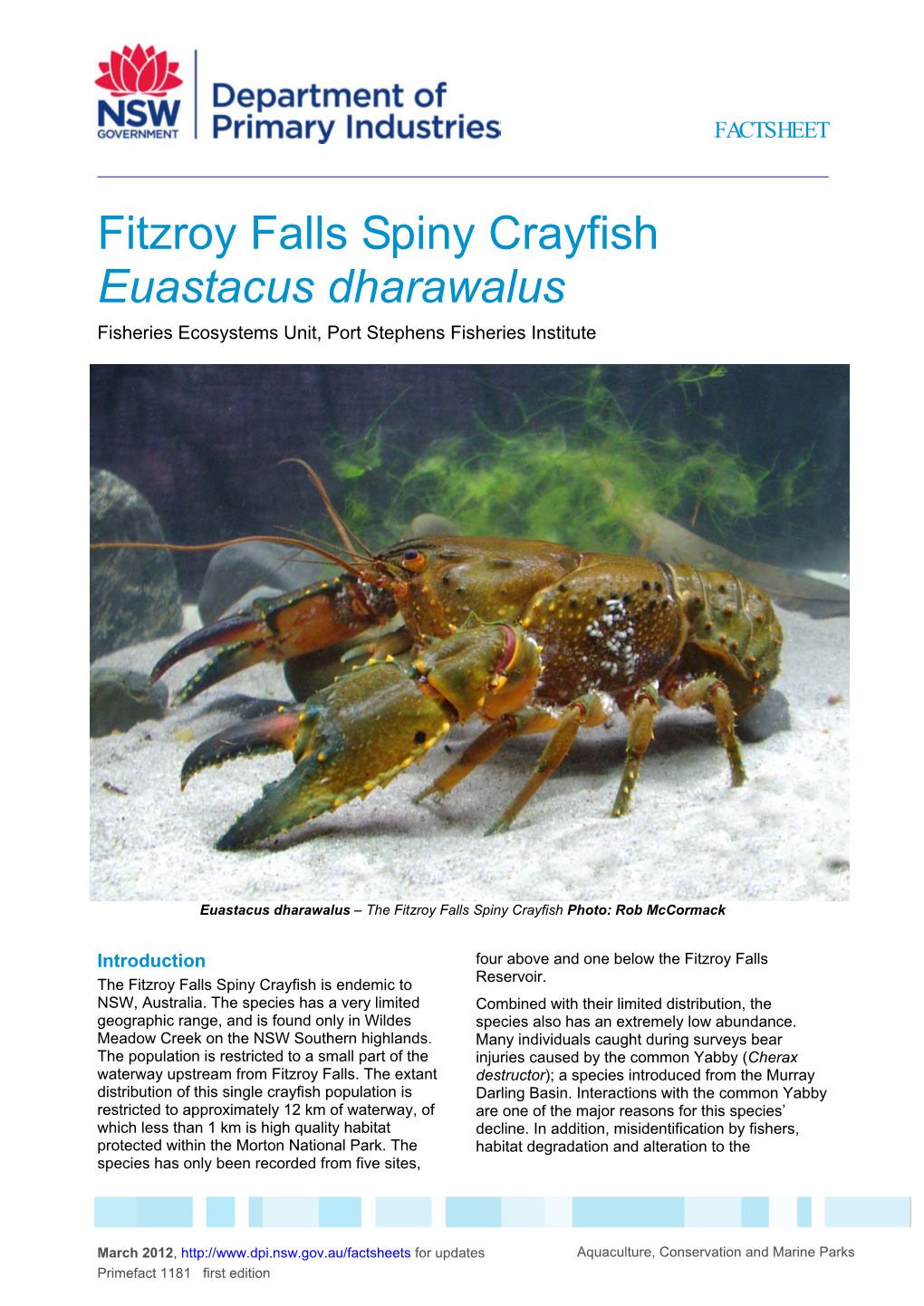 Fitzroy Falls Spiny Crayfish Euastacus Dharawalus Fisheries Ecosystems Unit, Port Stephens Fisheries Institute