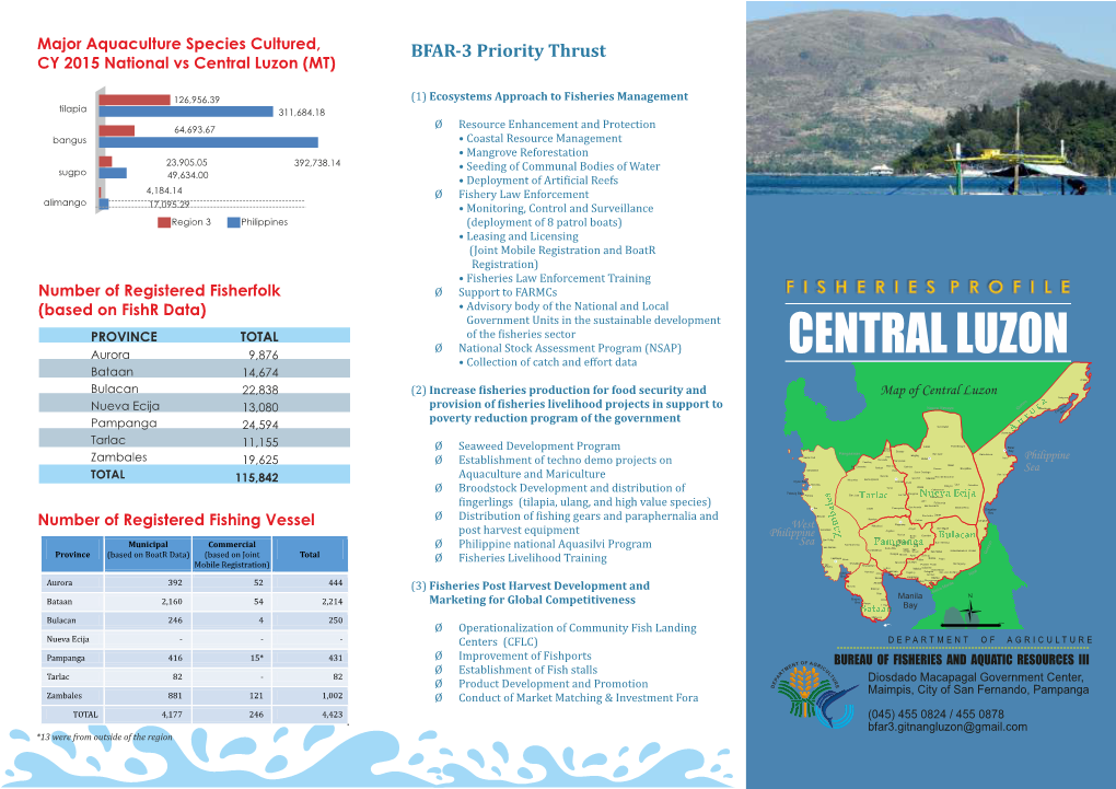 Central Luzon (MT)