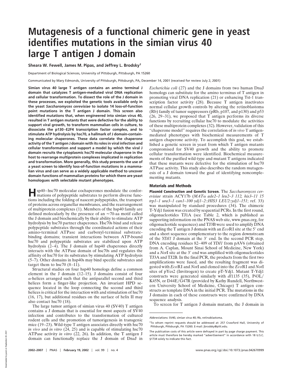 Mutagenesis of a Functional Chimeric Gene in Yeast Identifies Mutations in the Simian Virus 40 Large T Antigen J Domain