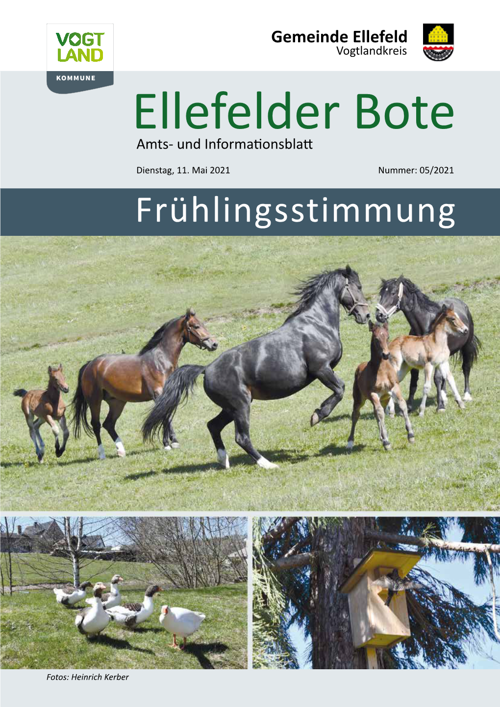 Ellefelder Bote Amts- Und Informationsblatt
