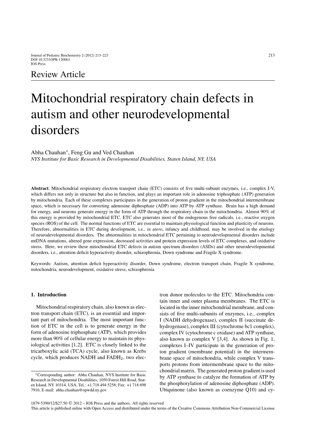 Mitochondrial Respiratory Chain Defects in Autism and Other Neurodevelopmental Disorders