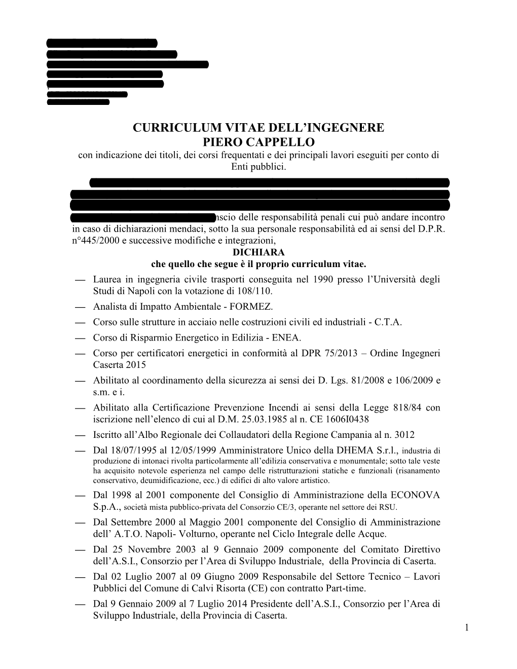 Curriculum Vitae Dell'ingegnere Piero