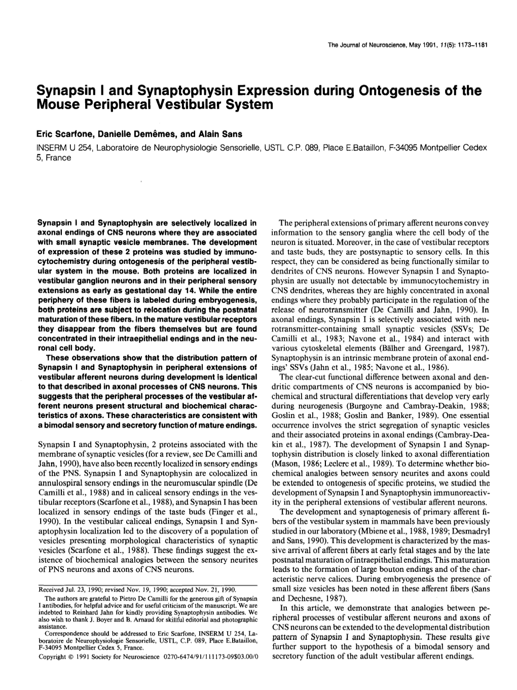 Synapsin I and Synaptophysin Expression During Ontogenesis of the Mouse Peripheral Vestibular System