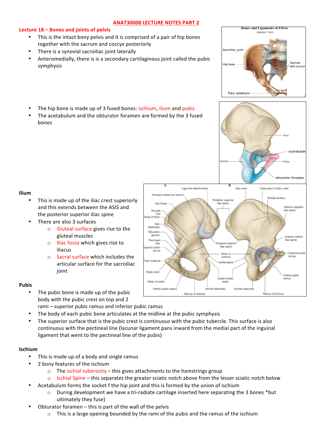 ANAT30008 LECTURE NOTES PART 2 Lecture 18 – Bones and Joints of Pelvis • This Is the Intact Bony Pelvis and It Is Comprise