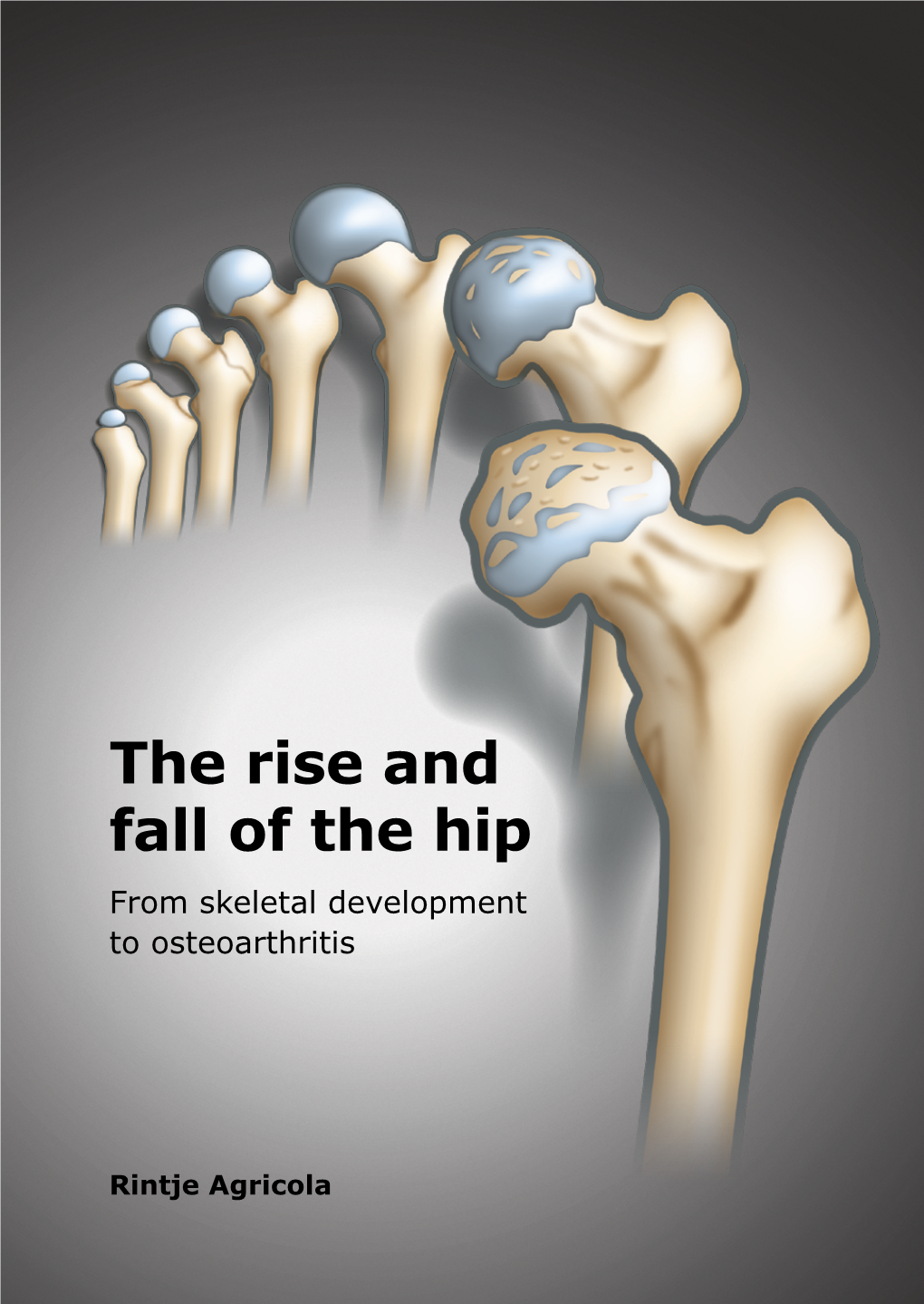 The Rise and Fall of the Hip from Skeletal Development to Osteoarthritis