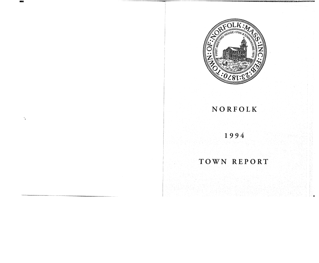 1994 Annual Town Report