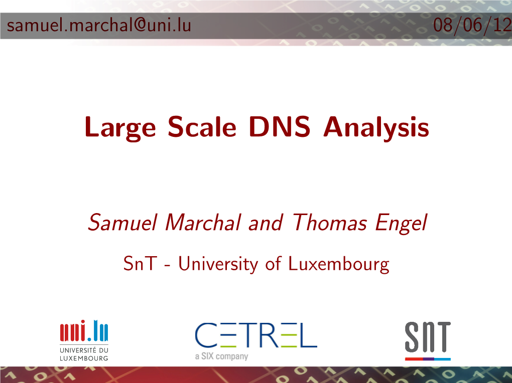 Large Scale DNS Analysis