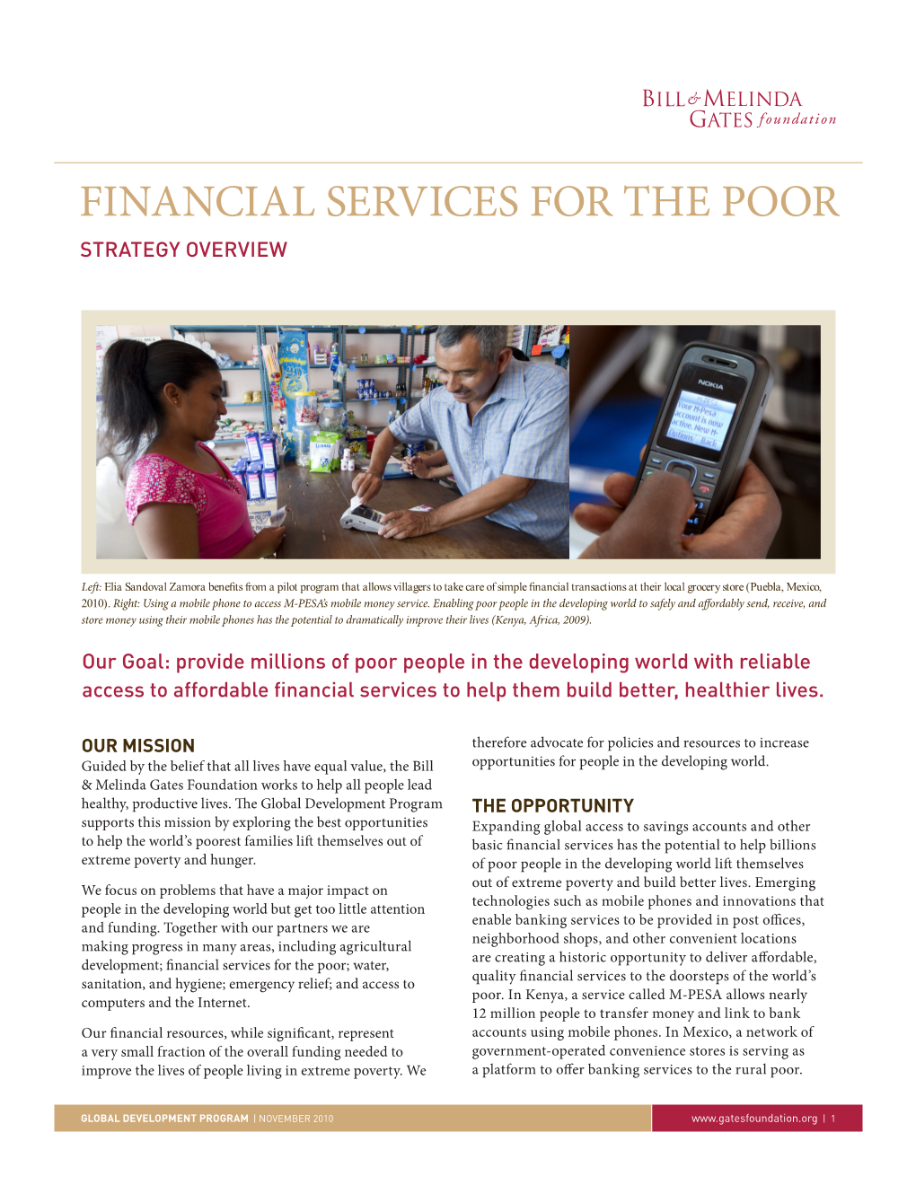 Financial Services for the Poor Strategy Overview