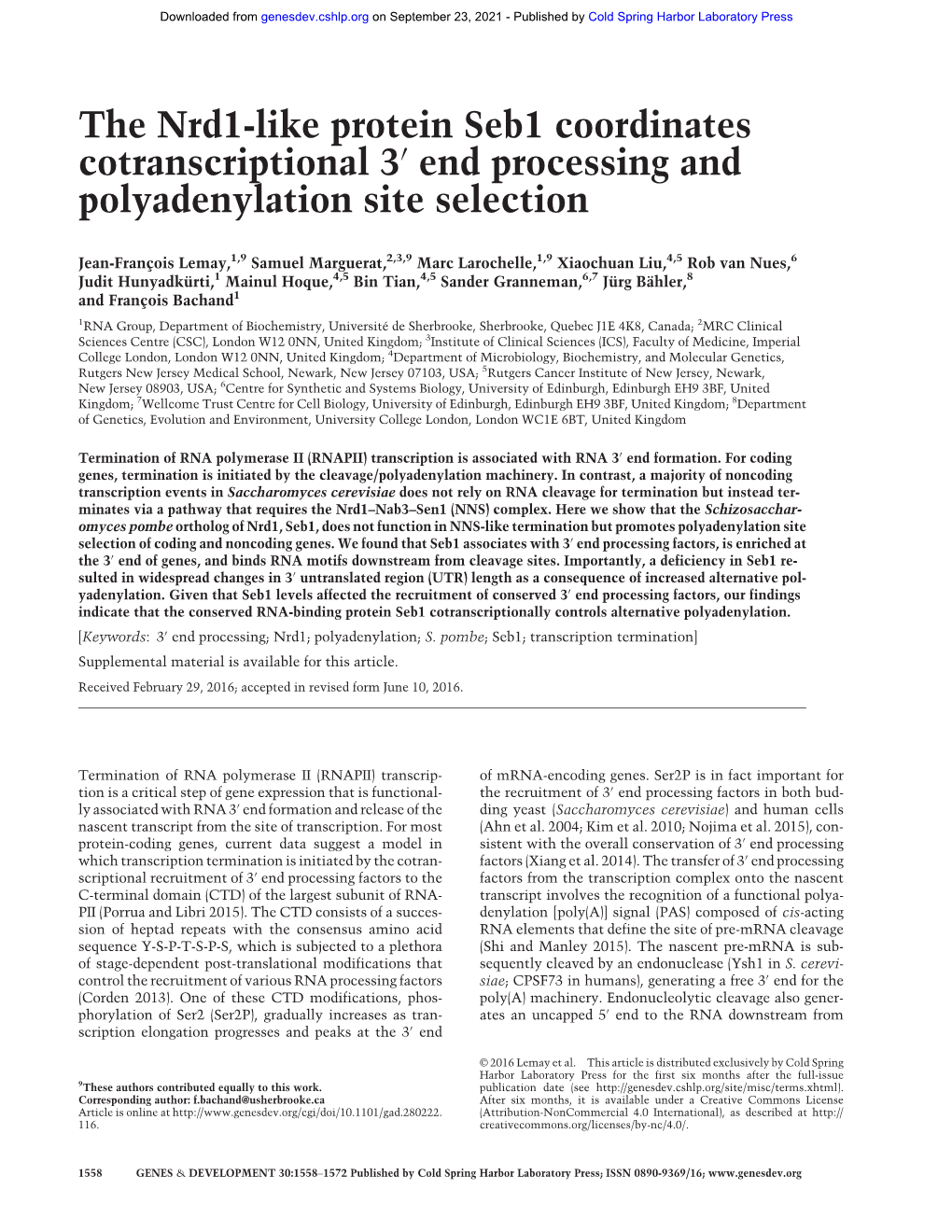 The Nrd1-Like Protein Seb1 Coordinates Cotranscriptional 3′ End Processing and Polyadenylation Site Selection