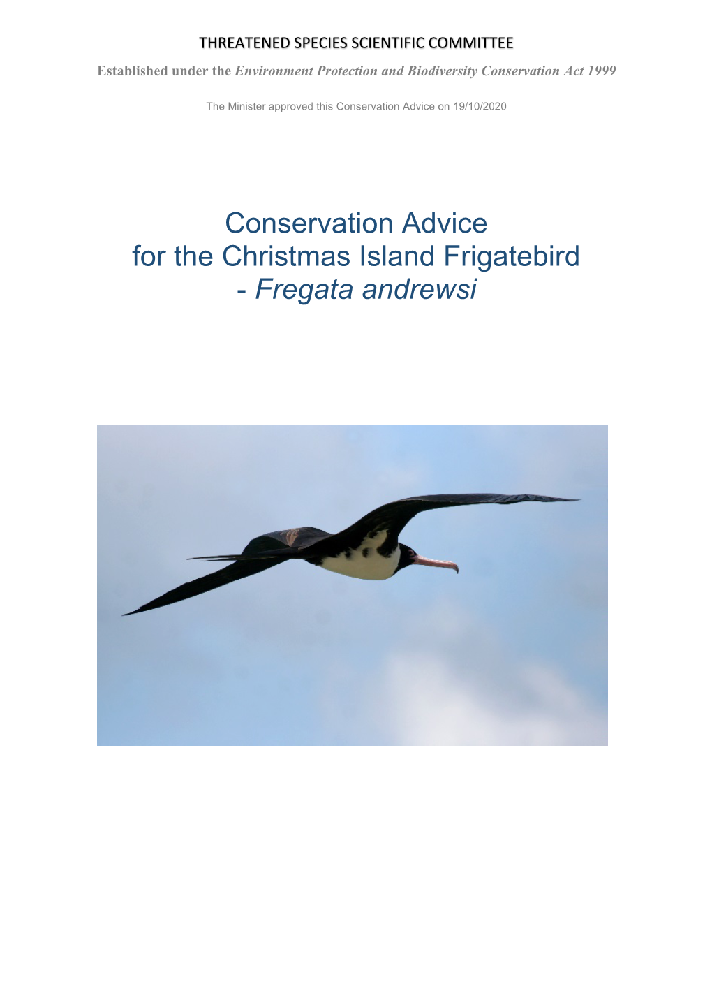 Conservation Advice for the Christmas Island Frigatebird - Fregata Andrewsi