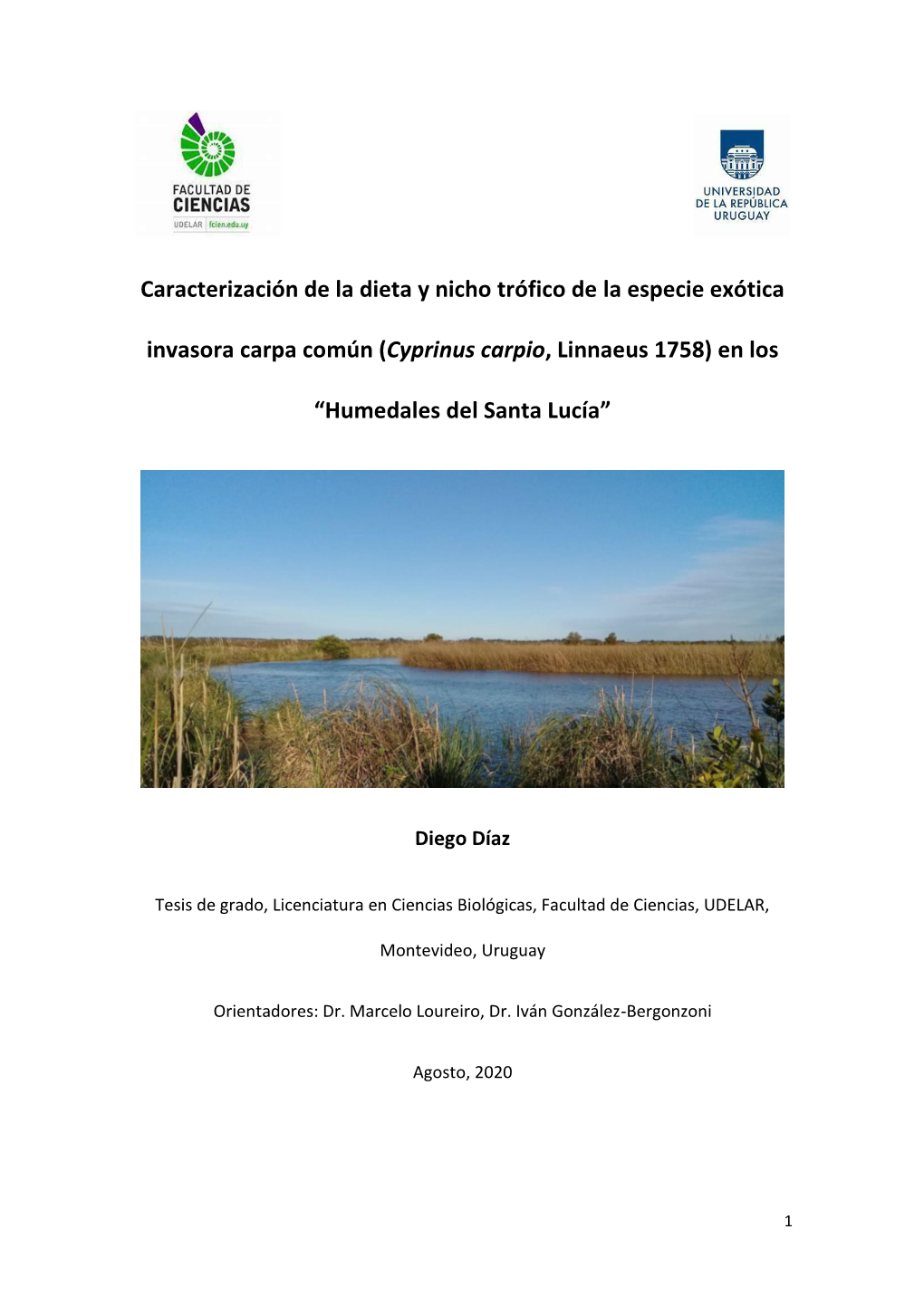 Caracterización De La Dieta Y Nicho Trófico De La Especie Exótica Invasora Carpa Común (Cyprinus Carpio, Linnaeus 1758) En Los