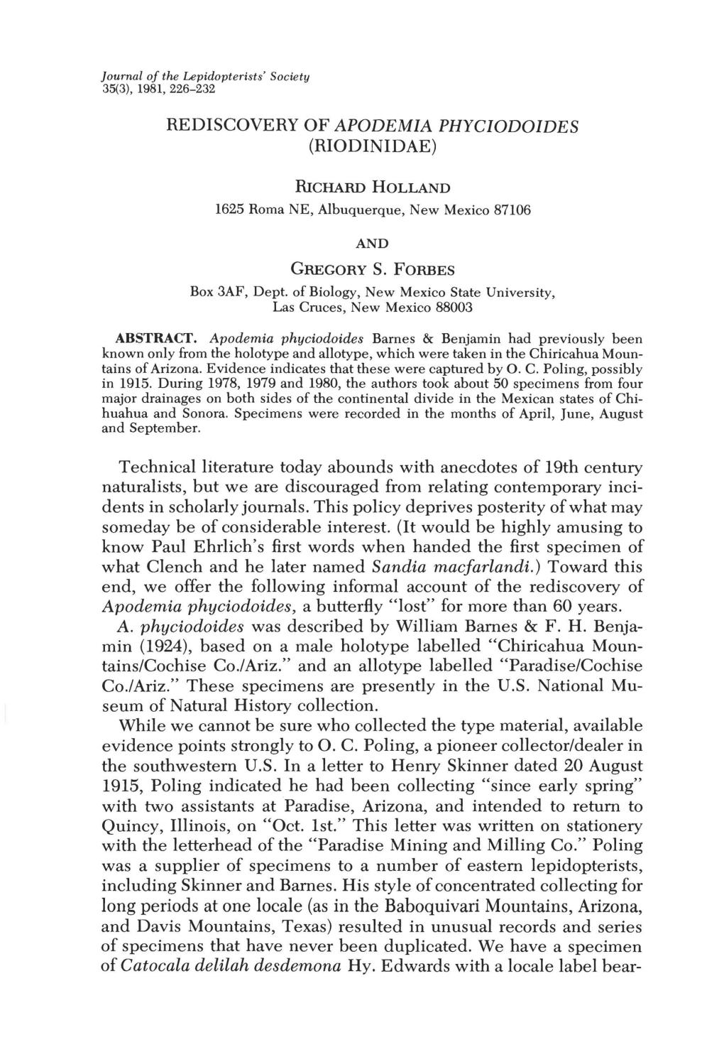 Rediscovery of Apodemia Phyciodoides (Riodinidae)