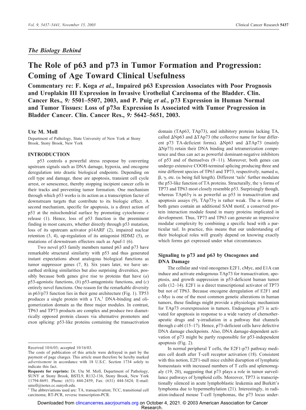 The Role of P63 and P73 in Tumor Formation and Progression: Coming of Age Toward Clinical Usefulness Commentary Re: F