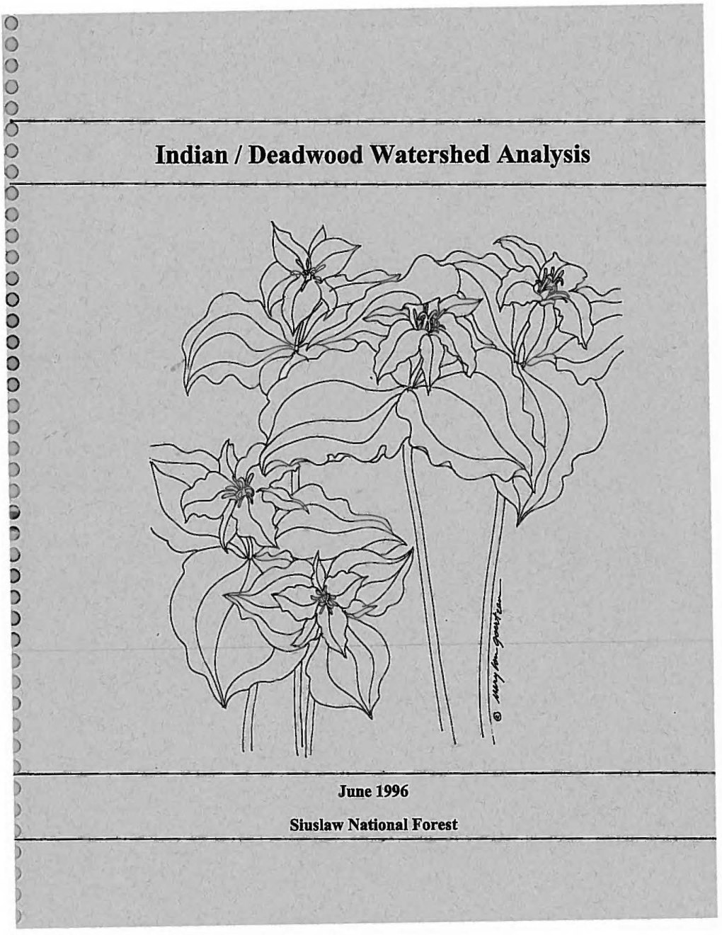 Indian/Deadwood Watershed Analysis Was Conducted As Part of Implementing the Northwest Forest Plan (USDA/USDI 1994)