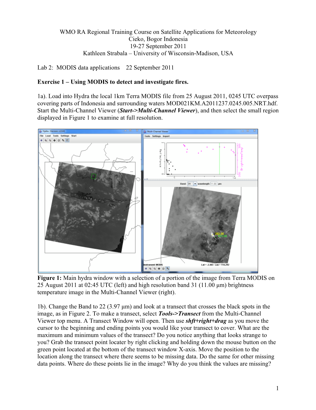 Indonesia 2011 Lab Day3.Pdf