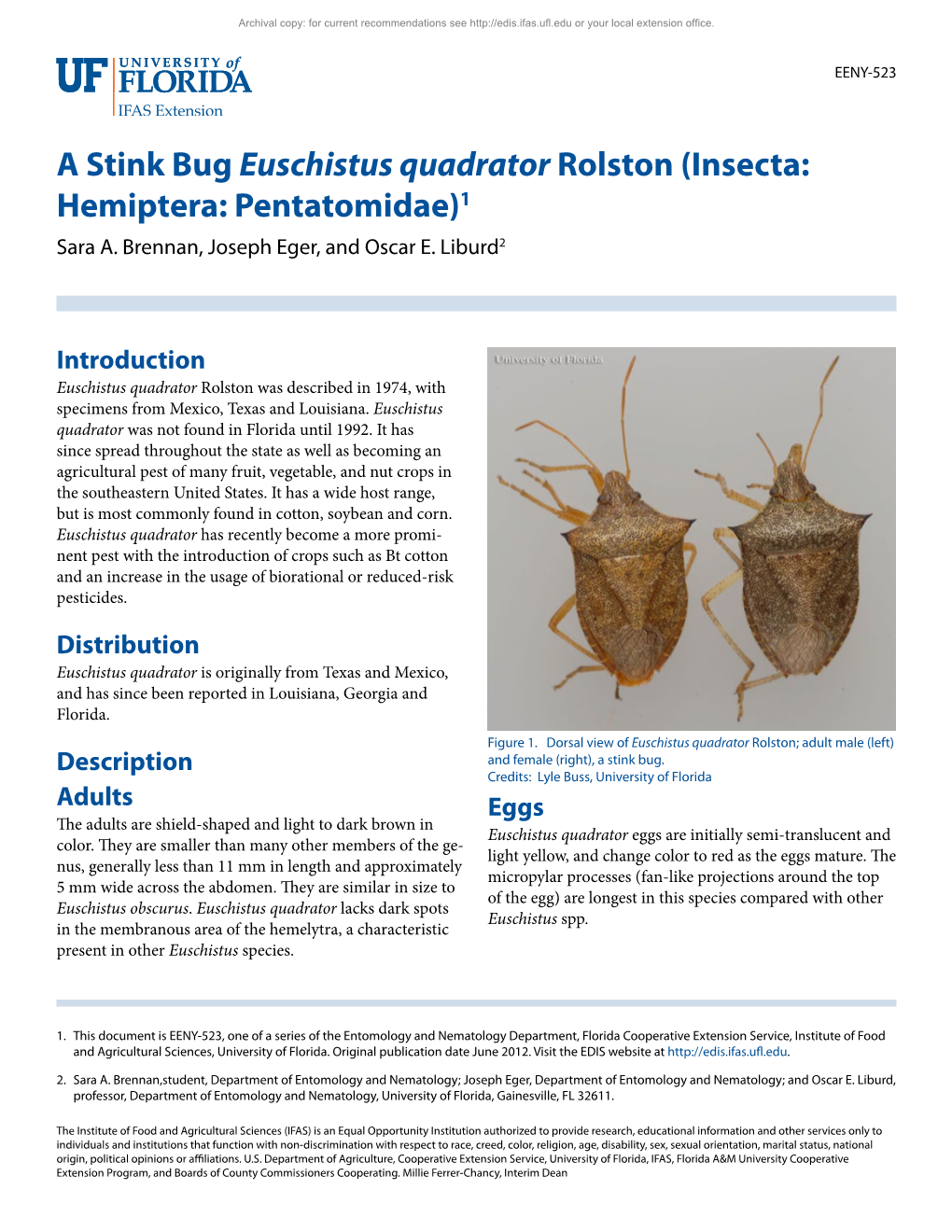 A Stink Bug Euschistus Quadrator Rolston (Insecta: Hemiptera: Pentatomidae)1 Sara A