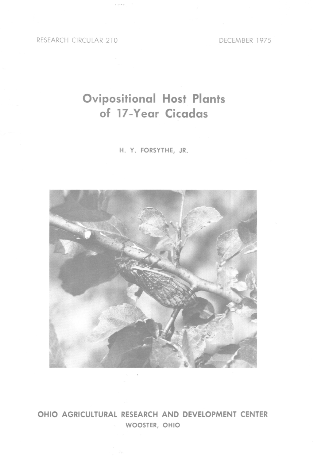 Ovipositional Host Plants of 17-Y Ear Cicadas