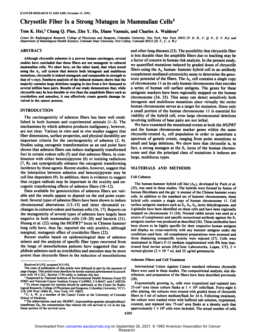 Chrysotile Fiber Is a Strong Mutagen in Mammalian Cells1