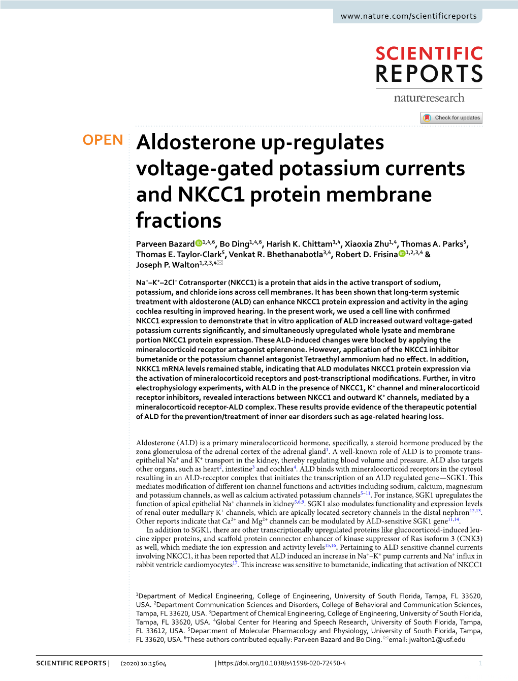 Aldosterone Up-Regulates Voltage-Gated Potassium Currents and NKCC1 Protein Membrane Fractions