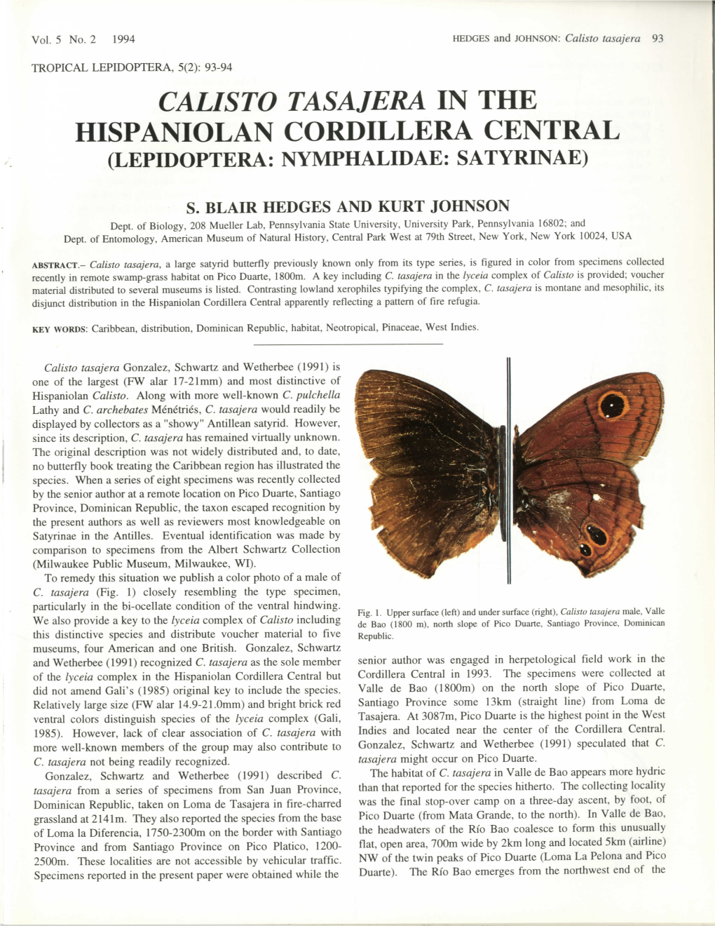 Calisto Tasajera in the Hispaniolan Cordillera Central (Lepidoptera: Nymphalidae: Satyrinae)