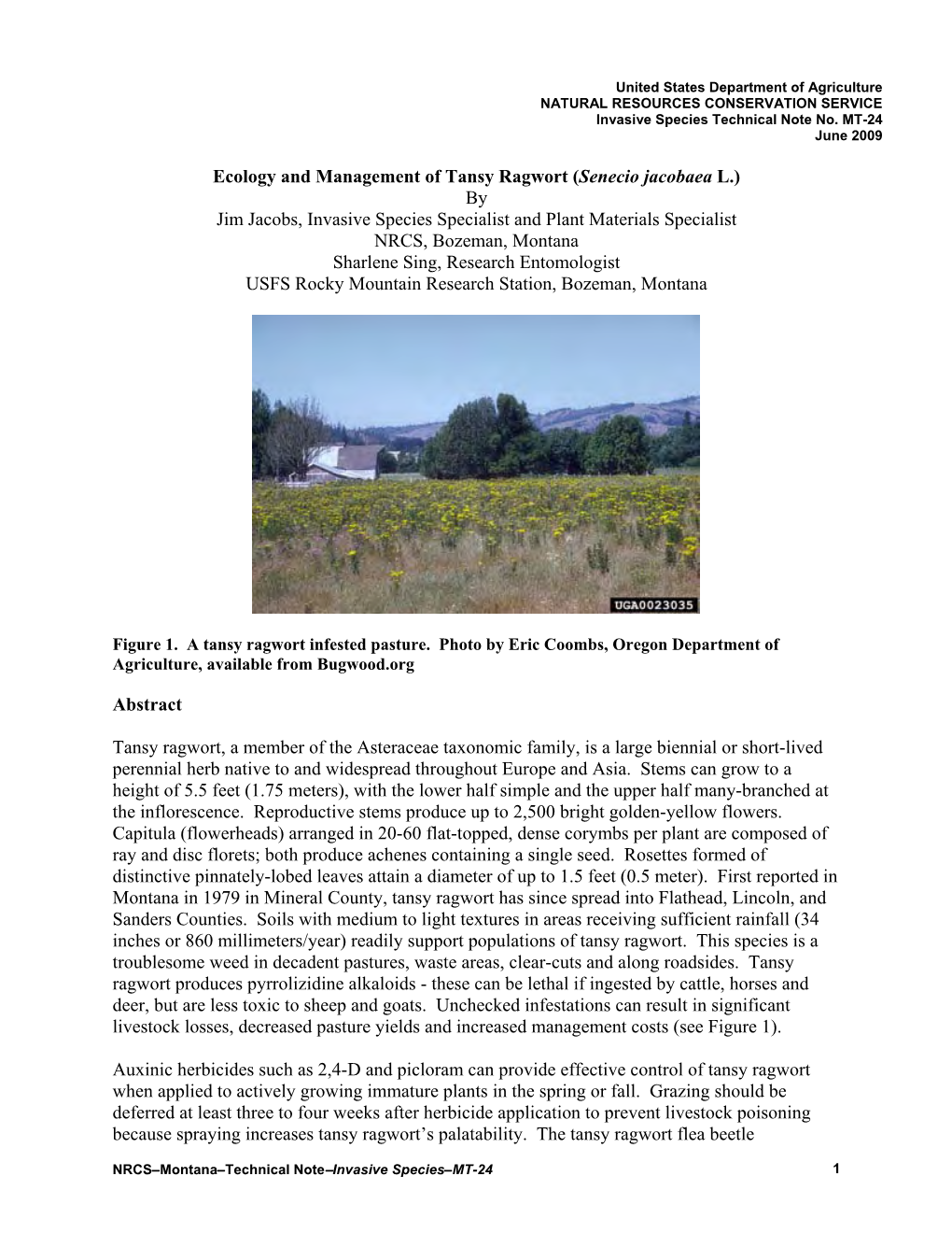 Ecology and Management of Tansy Ragwort