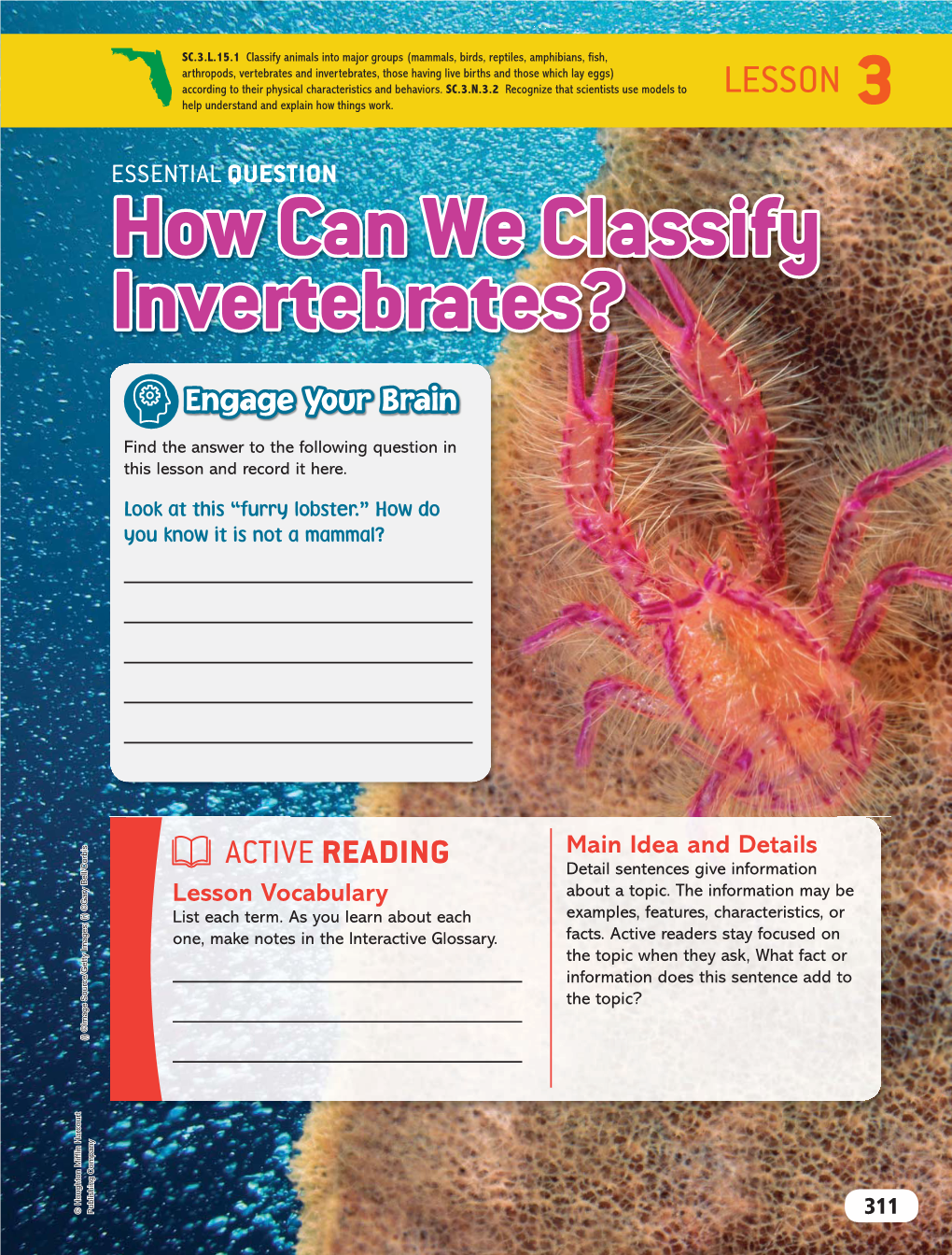 How Can We Classify Invertebrates?