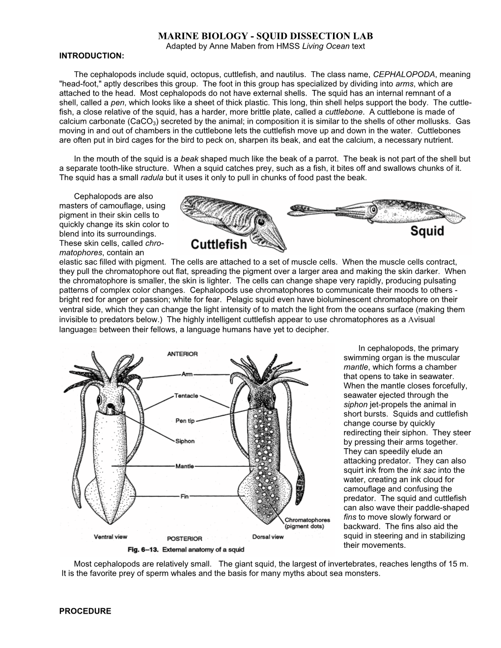 MARINE BIOLOGY - SQUID DISSECTION LAB Adapted by Anne Maben from HMSS Living Ocean Text INTRODUCTION