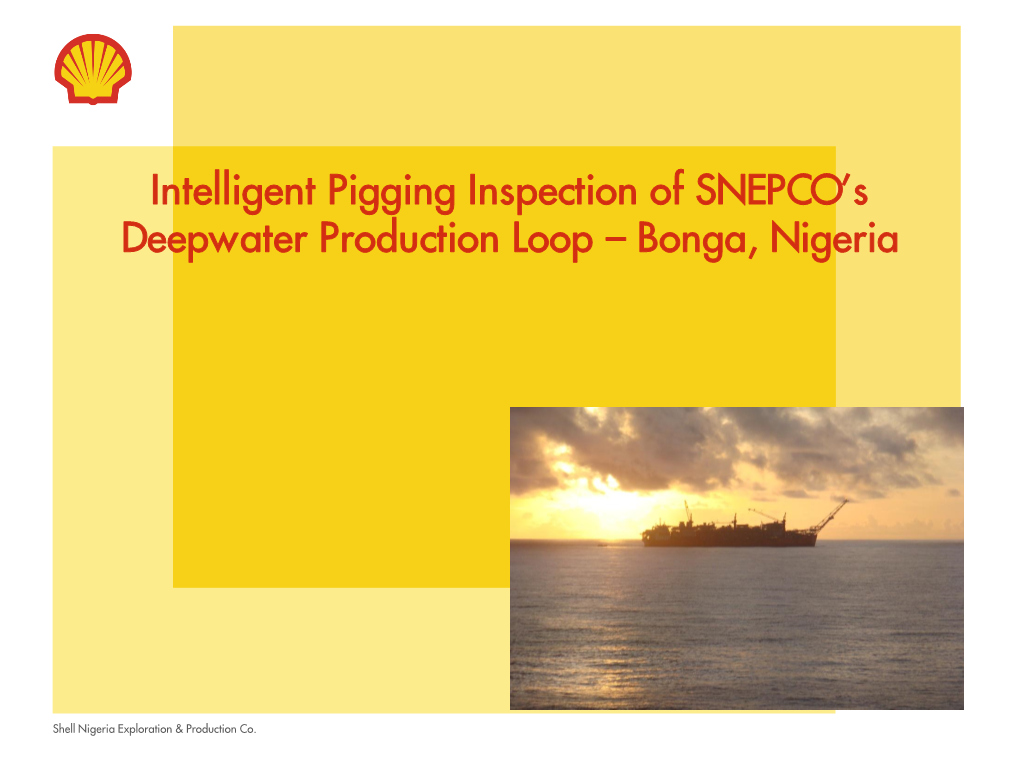 Intelligent Pigging Inspection of SNEPCO's
