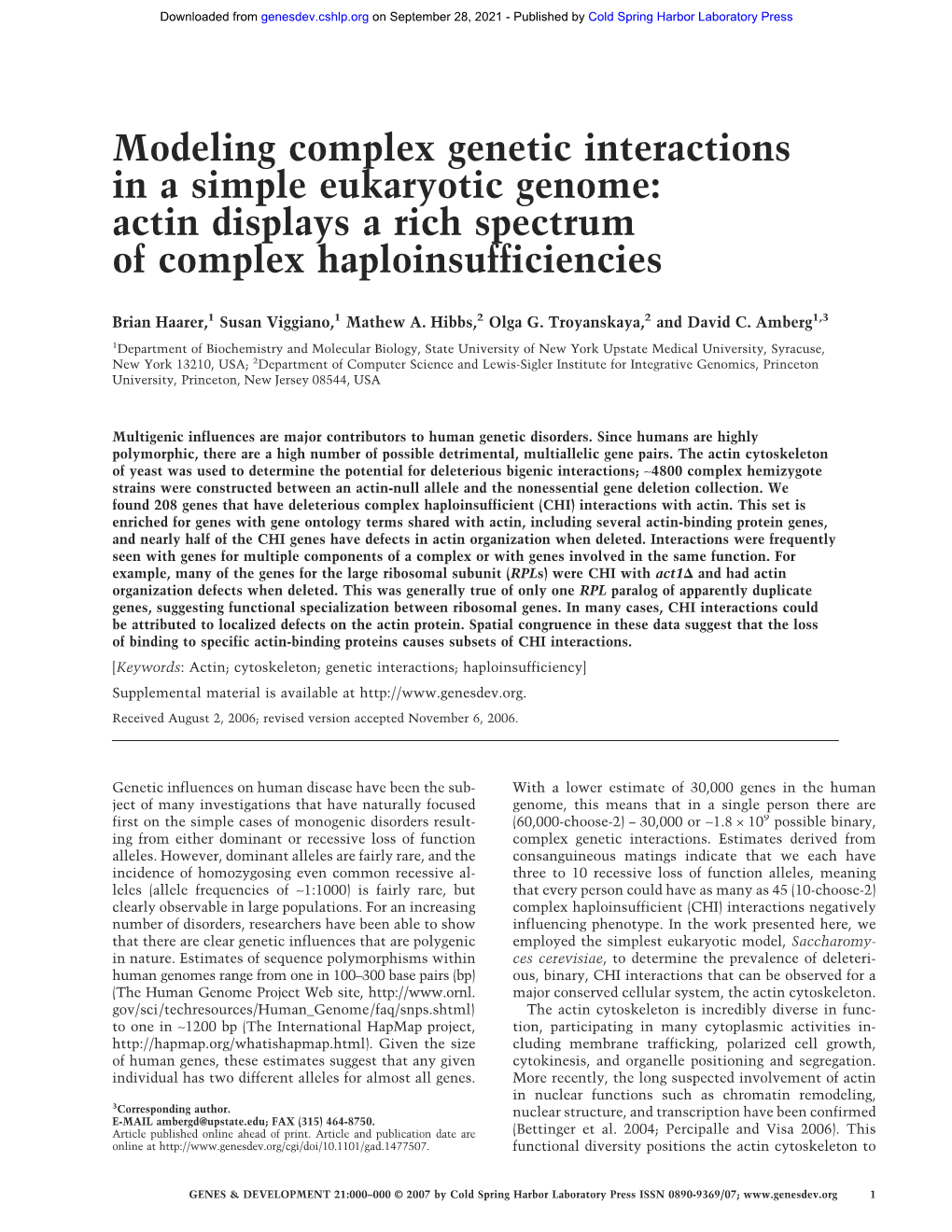 Modeling Complex Genetic Interactions in a Simple Eukaryotic Genome: Actin Displays a Rich Spectrum of Complex Haploinsufficiencies