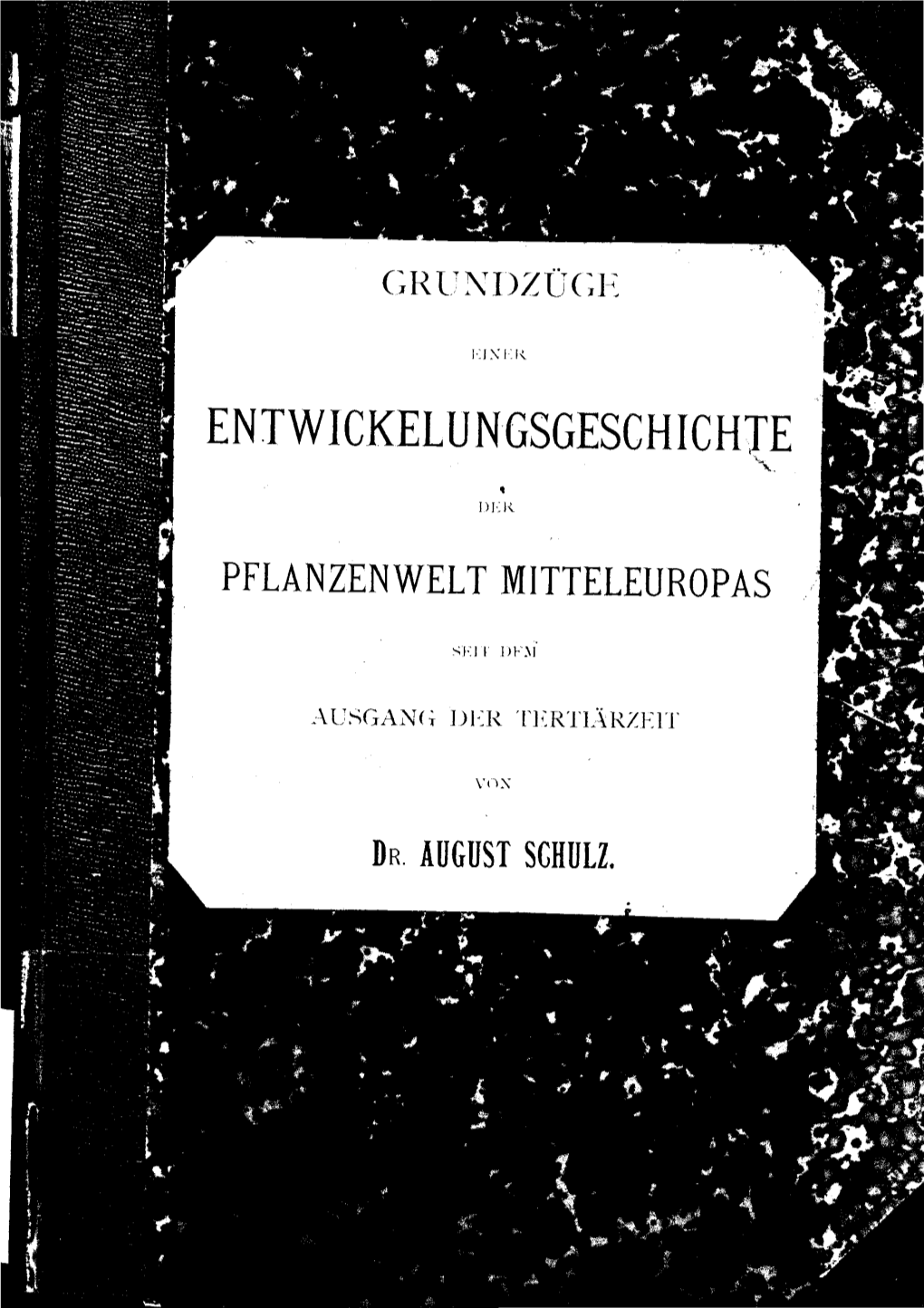 Grundzüge Einer Entwicklungsgeschichte Der Pflanzenwelt Mitteleuropas Seit Dem Ausgange Der Tertiärzeit