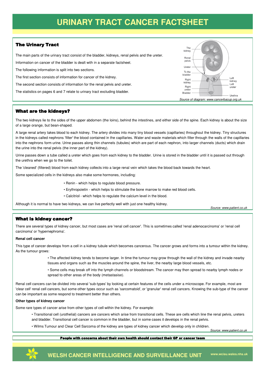 Urinary Tract Cancer Factsheet