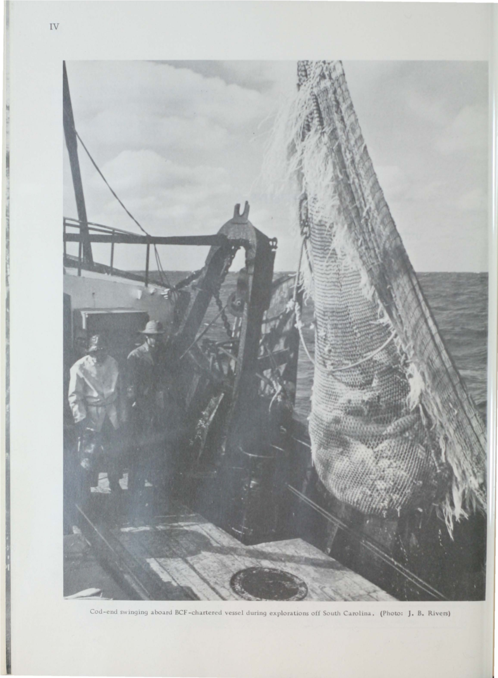 Cod-End Swinging Aboard BCF -Chartered Vessel During Explorations Off South Carolina