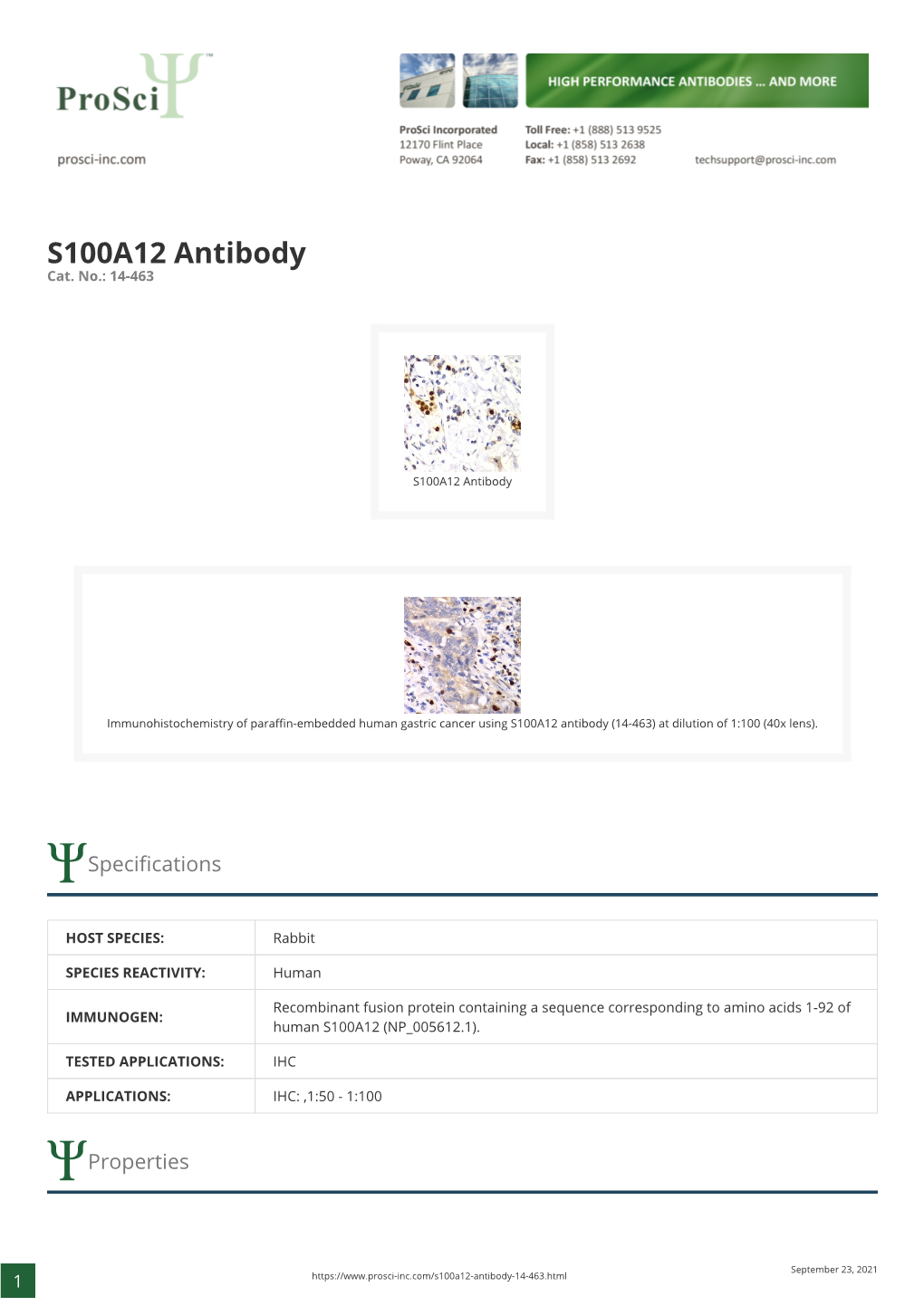 S100A12 Antibody Cat