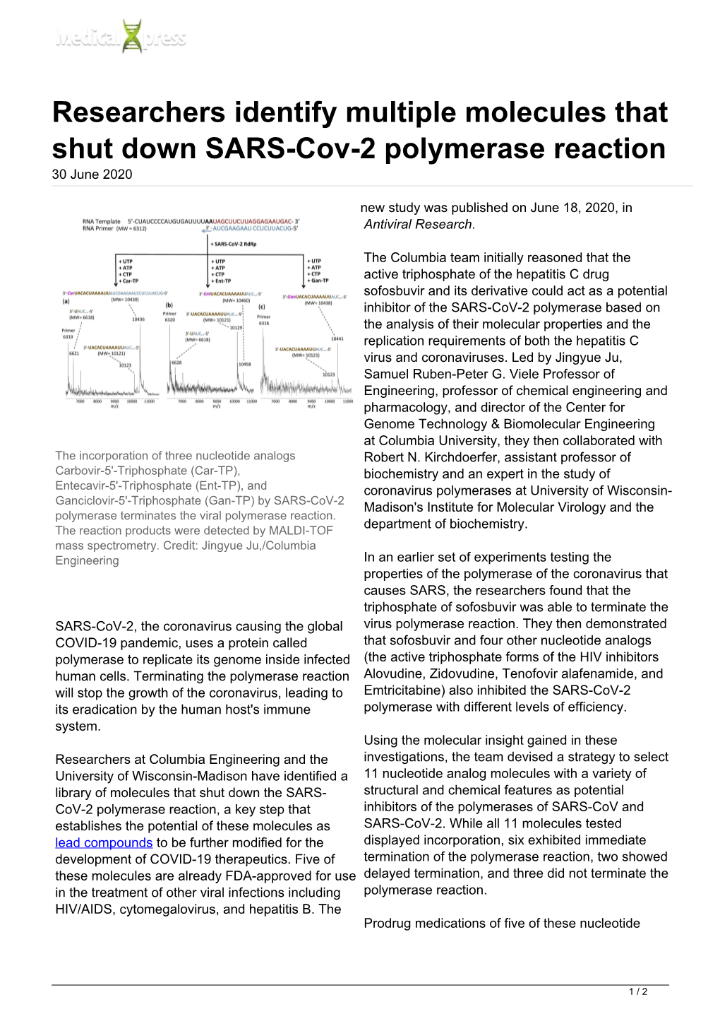 Researchers Identify Multiple Molecules That Shut Down SARS-Cov-2 Polymerase Reaction 30 June 2020