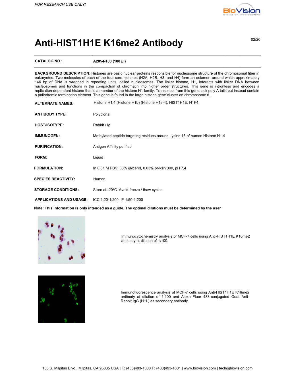 Anti-HIST1H1E K16me2 Antibody
