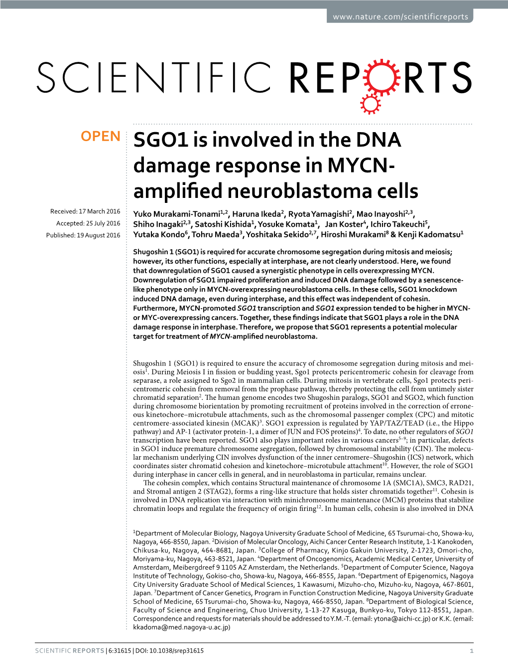 SGO1 Is Involved in the DNA Damage Response in MYCN