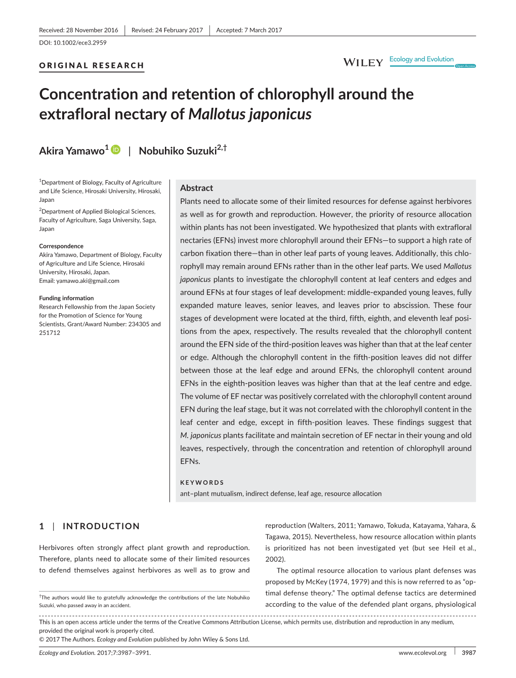 Concentration and Retention of Chlorophyll Around the Extrafloral Nectary of Mallotus Japonicus