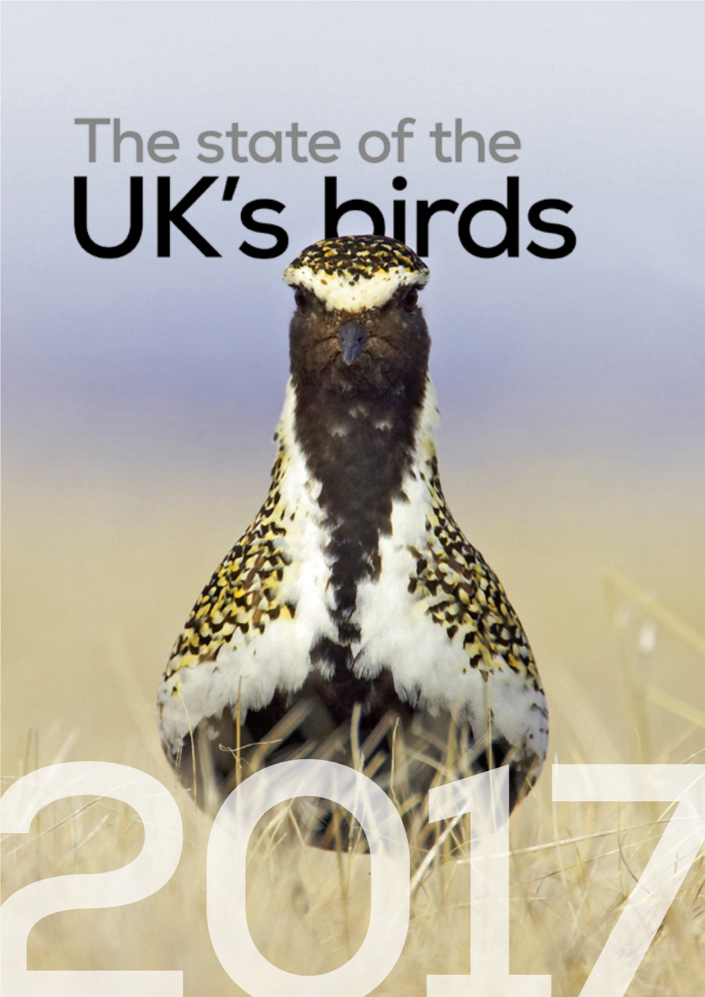 The State of the UK's Birds 2017