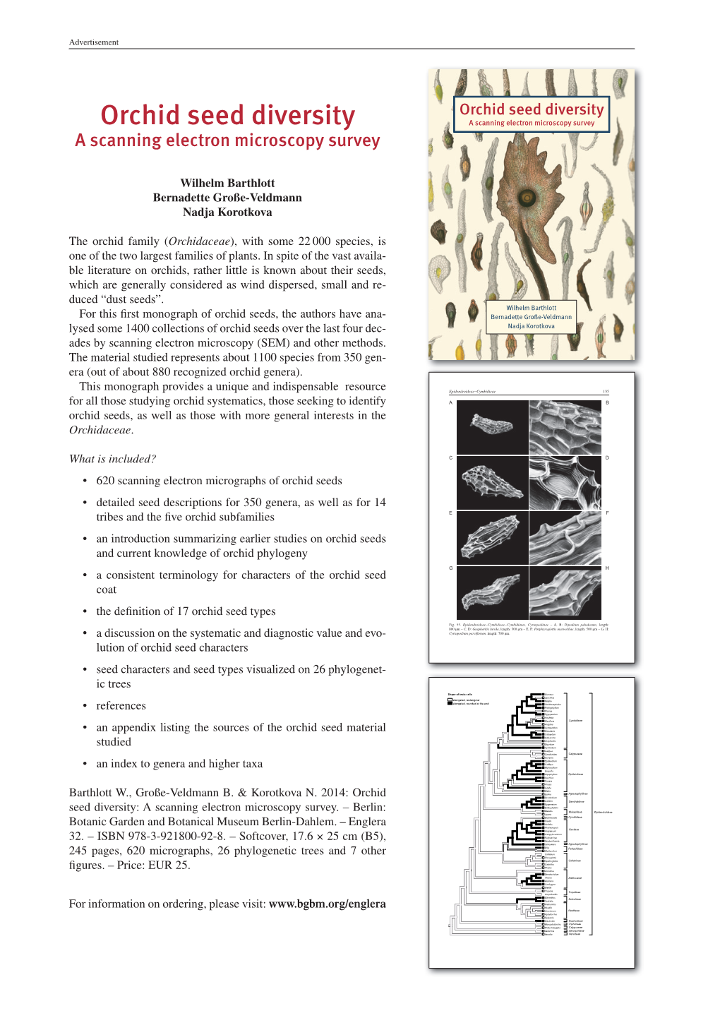 Orchid Seed Diversity Orchid Seed Diversity a Scanning Electron Microscopy Survey a Scanning Electron Microscopy Survey