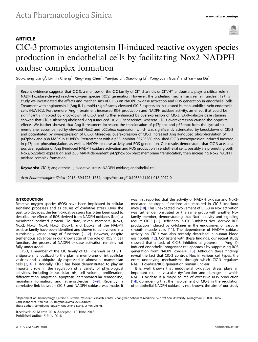 Clc-3 Promotes Angiotensin II-Induced Reactive Oxygen Species Production in Endothelial Cells by Facilitating Nox2 NADPH Oxidase Complex Formation