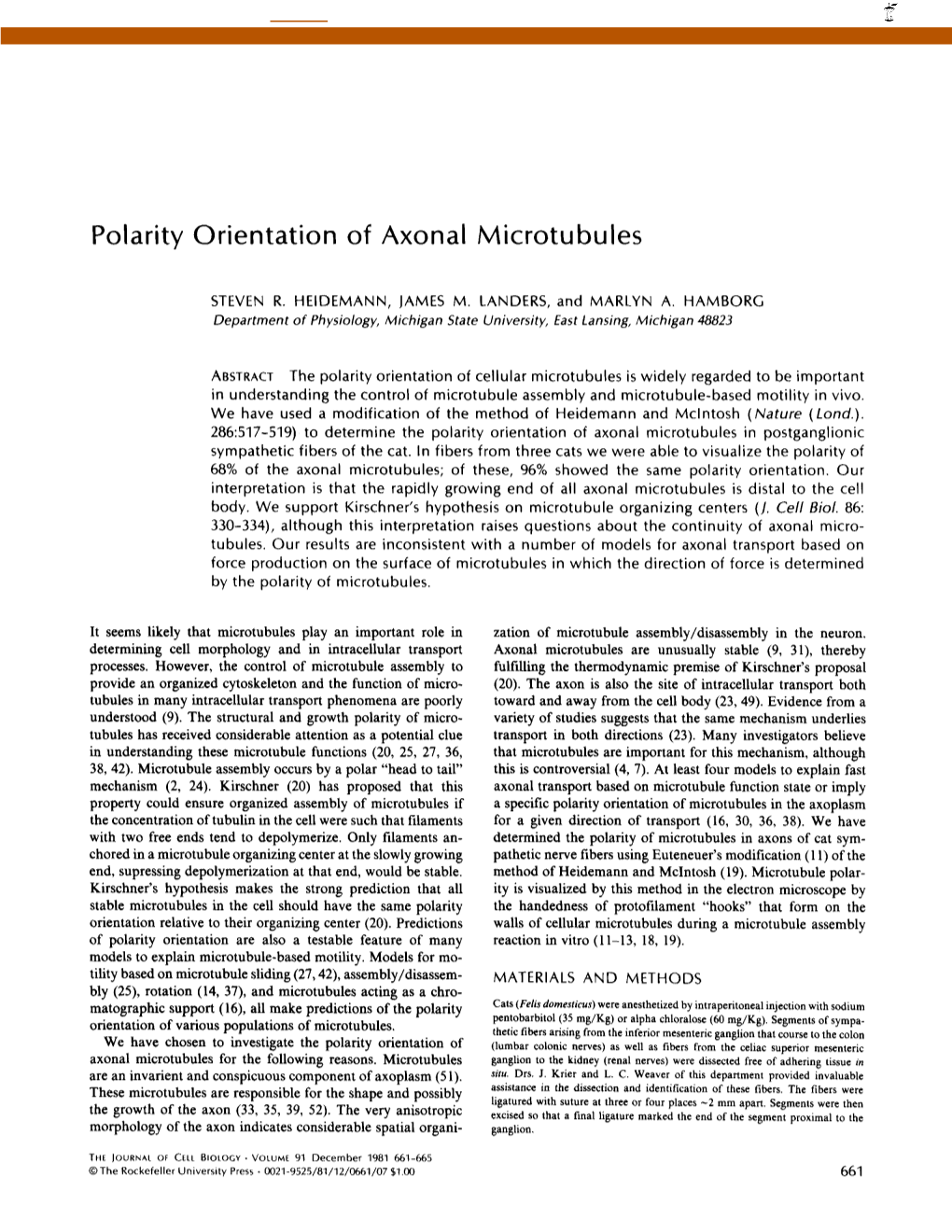 Polarity Orientation of Axonal Microtubules