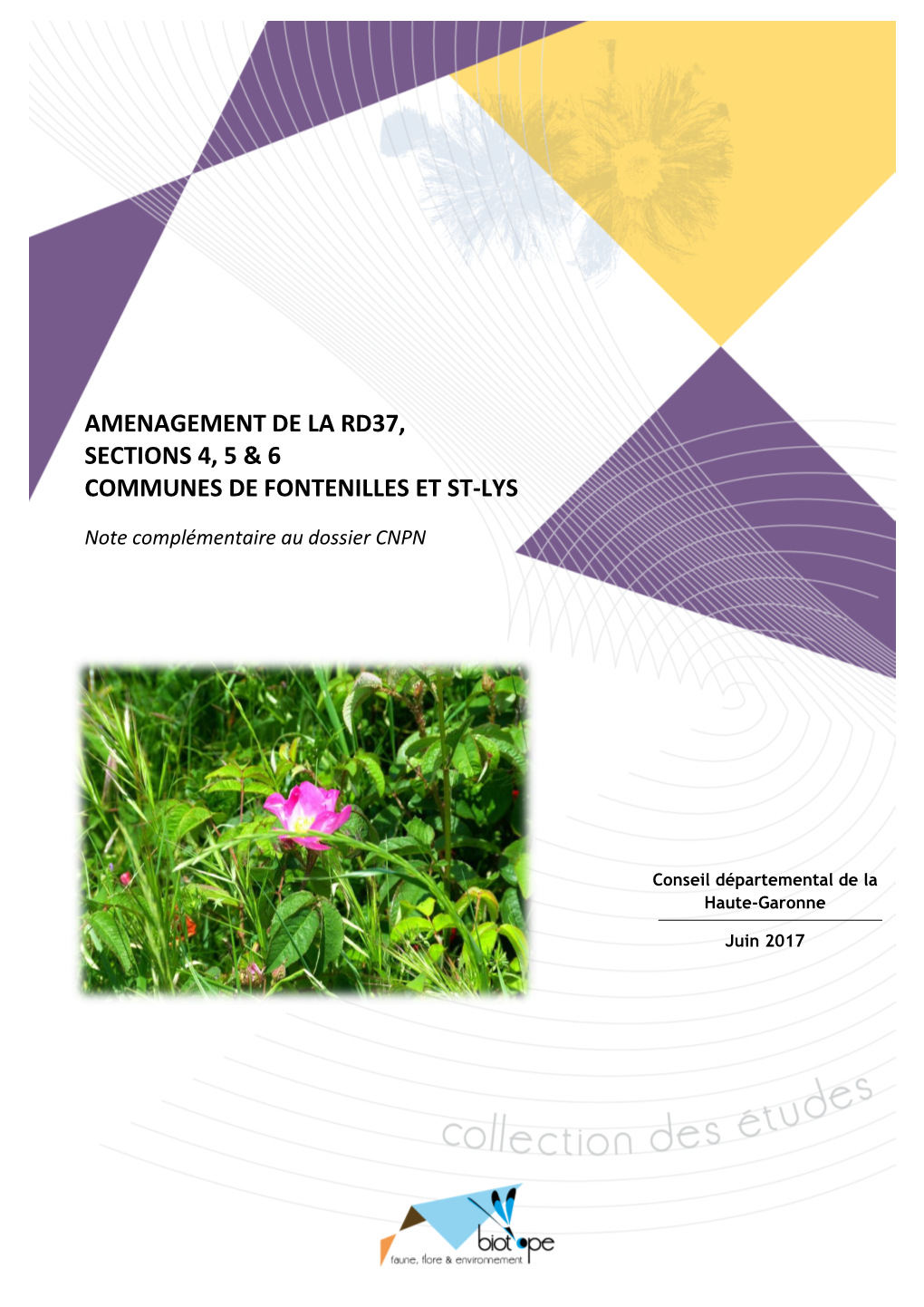 Amenagement De La Rd37, Sections 4, 5 & 6 Communes De Fontenilles Et St