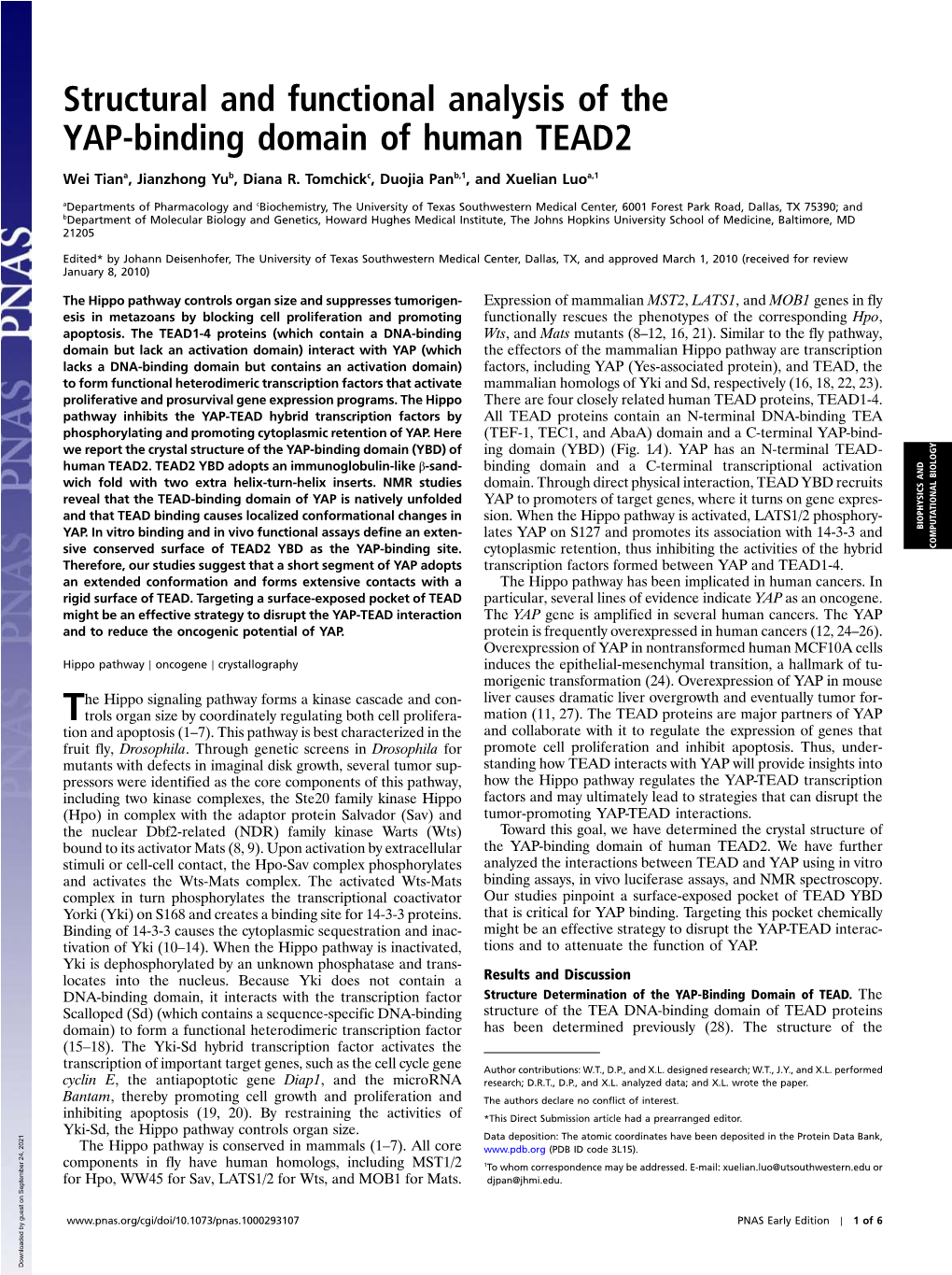 Structural and Functional Analysis of the YAP-Binding Domain of Human TEAD2