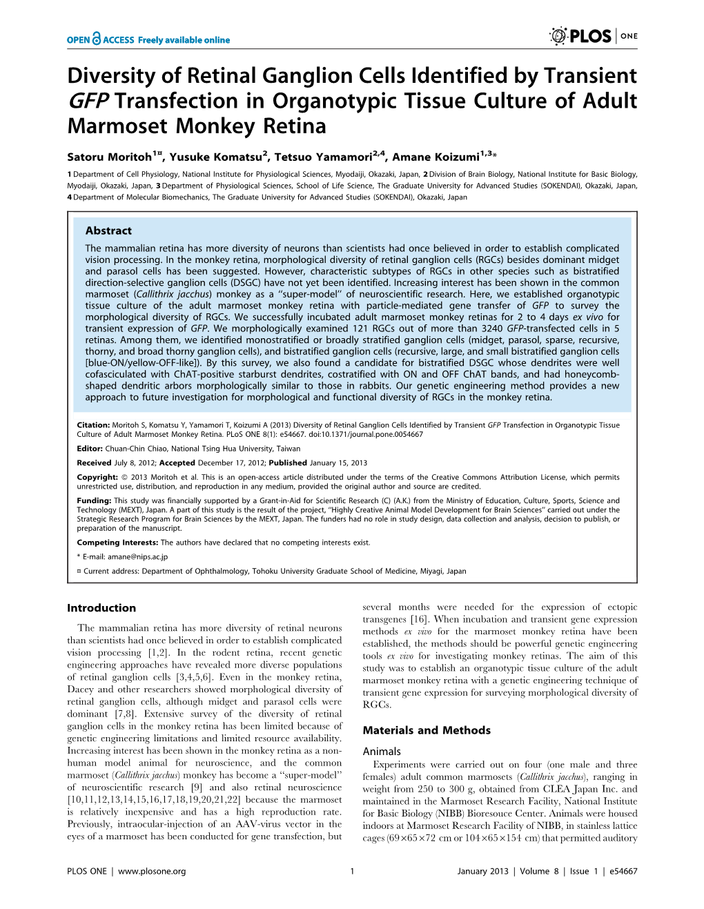 Diversity of Retinal Ganglion Cells Identified by Transient GFP Transfection in Organotypic Tissue Culture of Adult Marmoset Monkey Retina