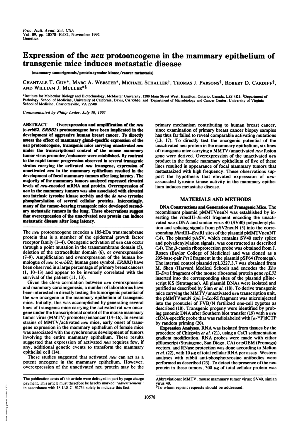 Expression of the Neu Protooncogene in the Mammary Epithelium Of